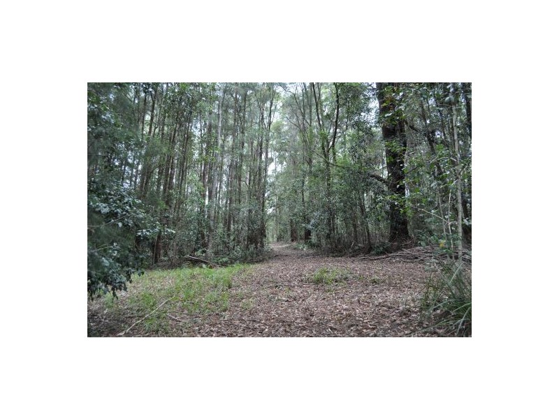 176 Mitchells Road, Valla NSW 2448