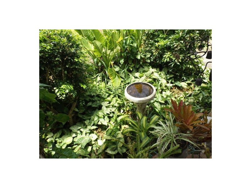 163 Wallace Street, Macksville NSW 2447