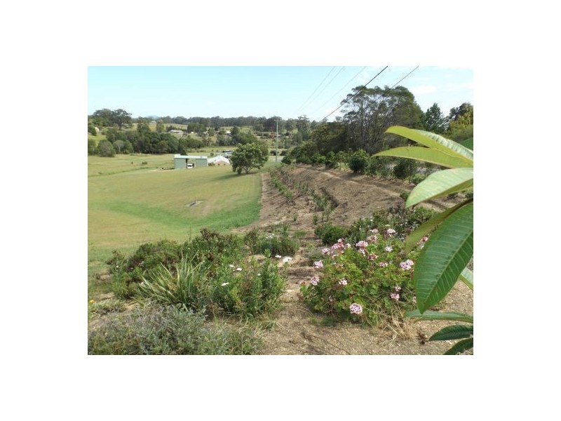 22 Hopewood Cresent, Newee Creek NSW 2447