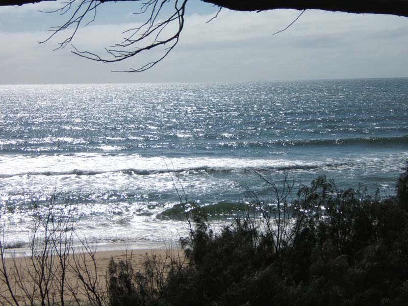 45 Iluka Avenue, Buddina QLD 4575