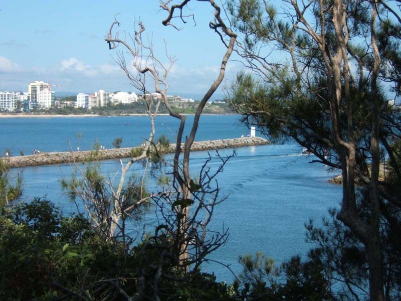 45 Iluka Avenue, Buddina QLD 4575