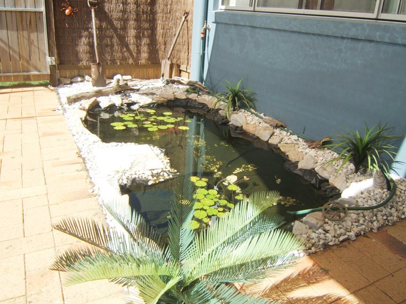Kawana Island QLD 4575