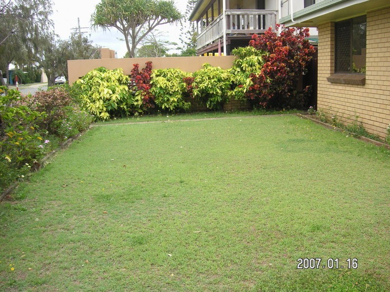 83 Iluka Ave, Buddina QLD 4575