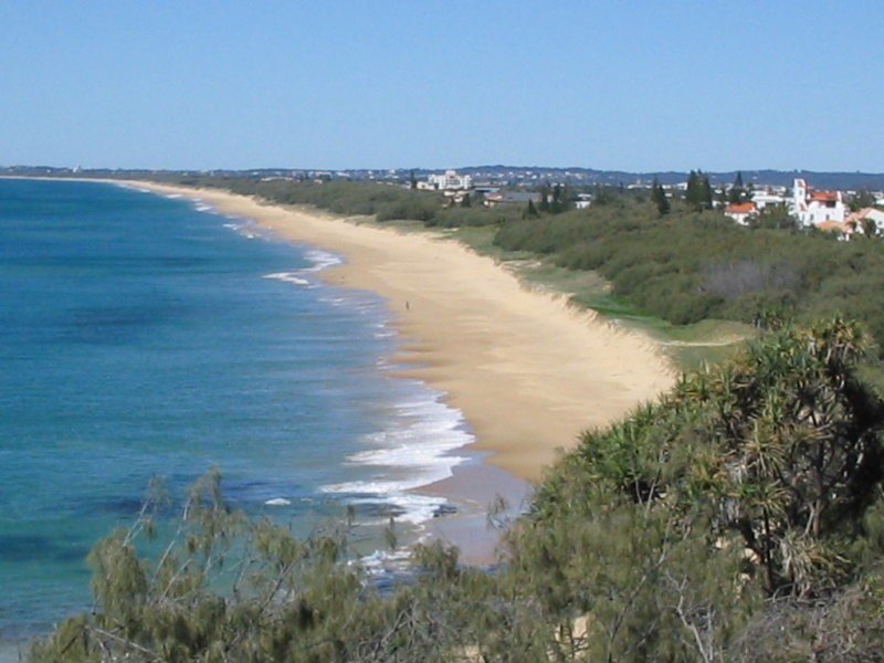 T36 Pacific Blvd, Buddina QLD 4575