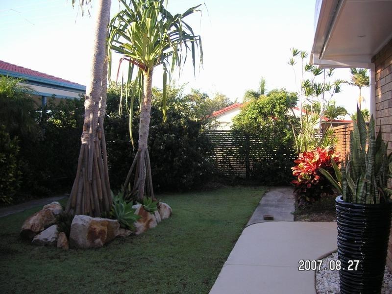 21 Mawarra Street, Buddina QLD 4575