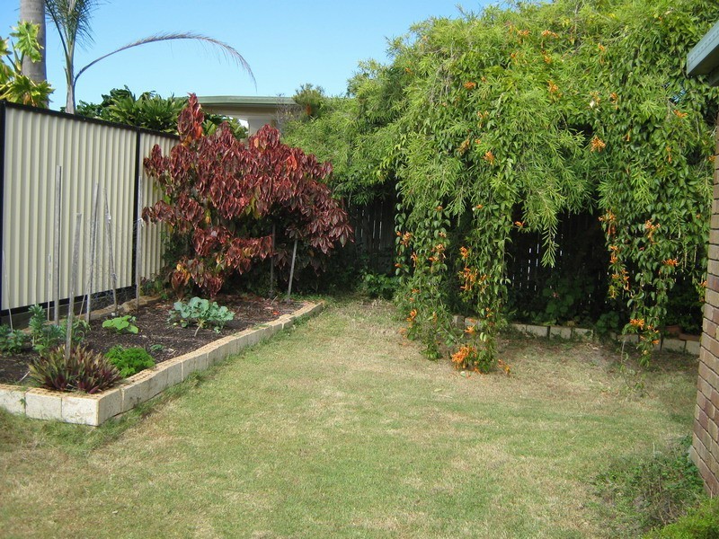 18 Alkira Street, Buddina QLD 4575