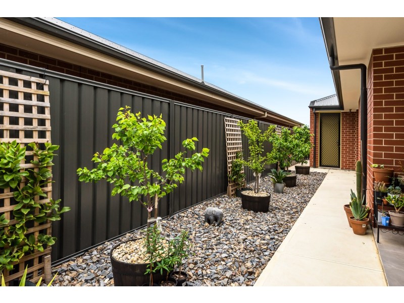 8 Banksia Court, Mount Barker SA 5251