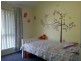 7 Boikonumba Road, Wyee NSW 2259