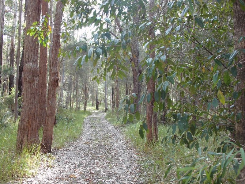 220 Alton Road, Cooranbong NSW 2265