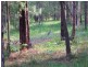 220 Alton Road, Cooranbong NSW 2265