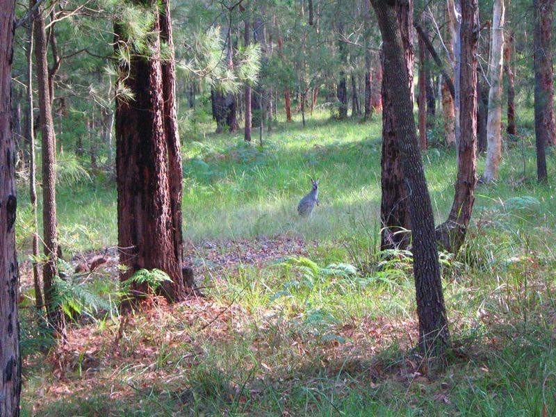 220 Alton Road, Cooranbong NSW 2265