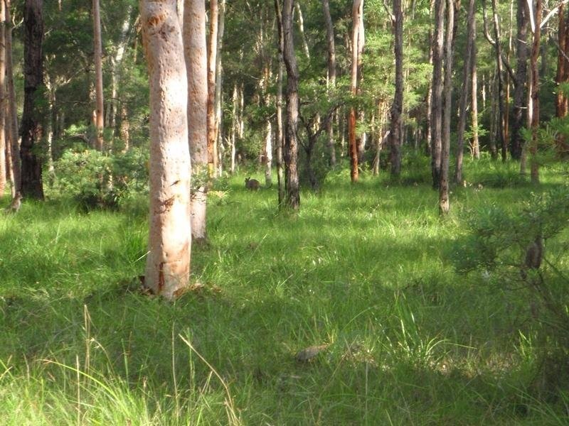 220 Alton Road, Cooranbong NSW 2265