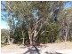 13 Waropara Road, Wyee NSW 2259