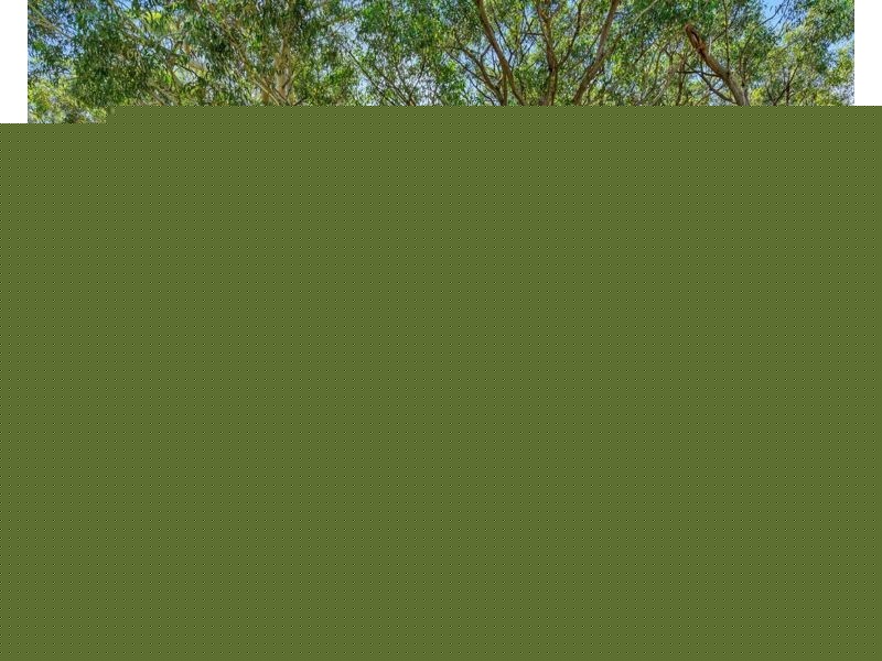 20 Larapinta Drive, Wyee Point NSW 2259