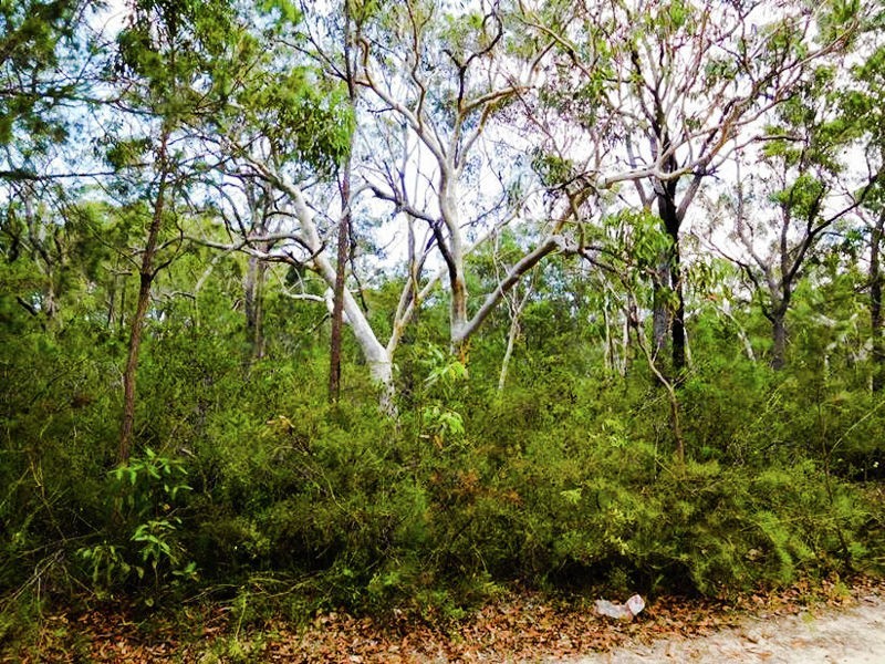 538 Bushells Ridge Road, Wyee NSW 2259