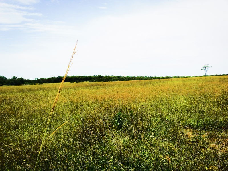 1431 Hue Hue Road, Wyee NSW 2259