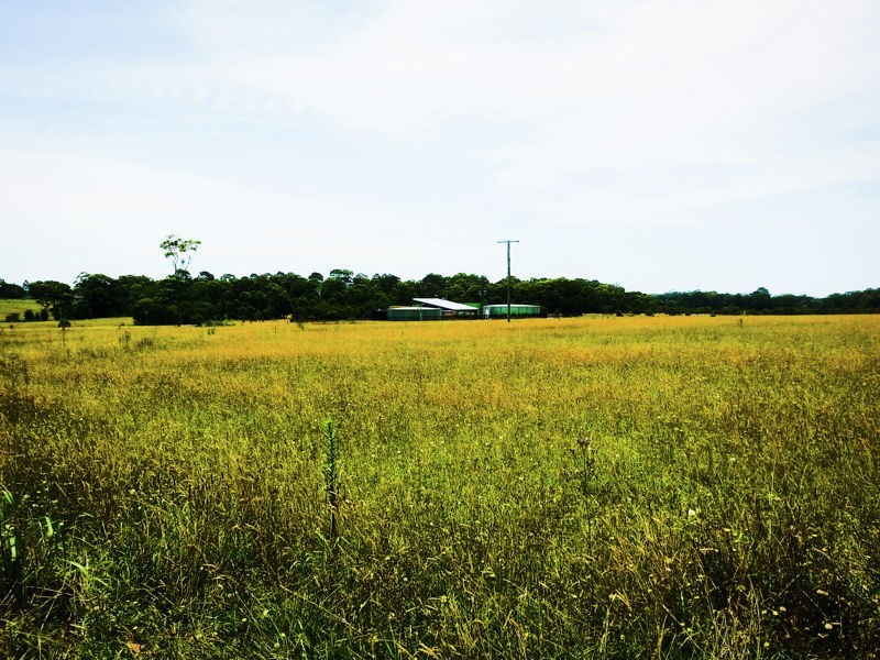 1431 Hue Hue Road, Wyee NSW 2259