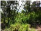32 Pirama Road, Wyee NSW 2259