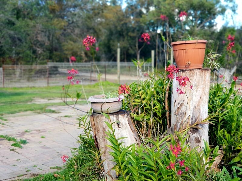 38 Waropara Road, Wyee NSW 2259