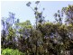 34 Pirama  Road, Wyee NSW 2259