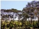 34 Pirama  Road, Wyee NSW 2259