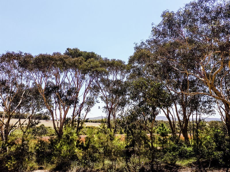 34 Pirama  Road, Wyee NSW 2259