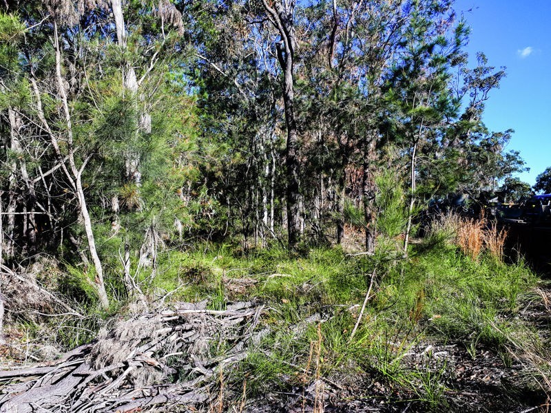 15 Waropara Road, Wyee NSW 2259