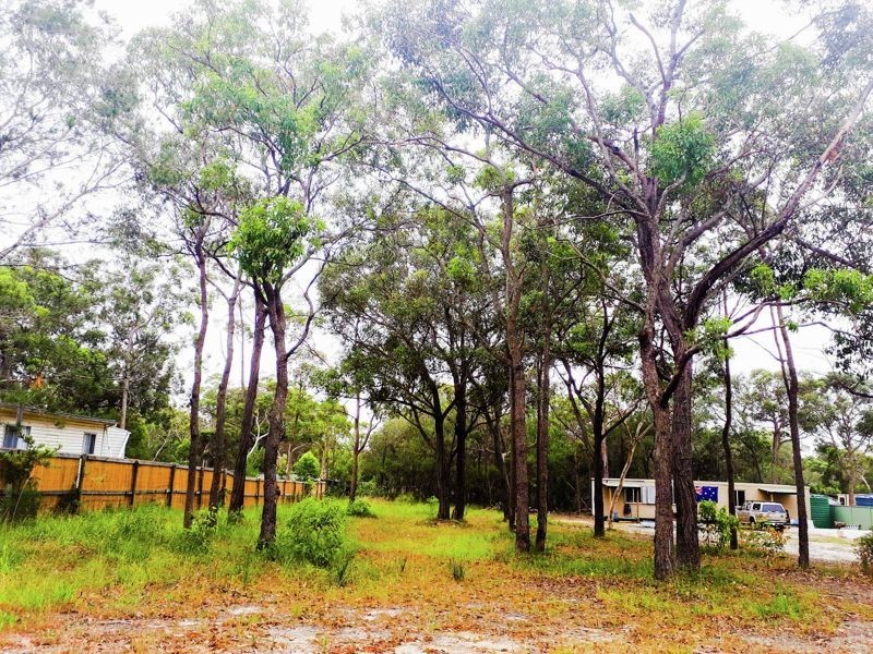 544 Bushells Ridge Road, Wyee NSW 2259