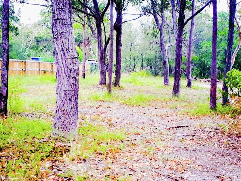 544 Bushells Ridge Road, Wyee NSW 2259