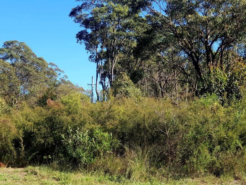 58 Gorokan Road, Wyee NSW 2259