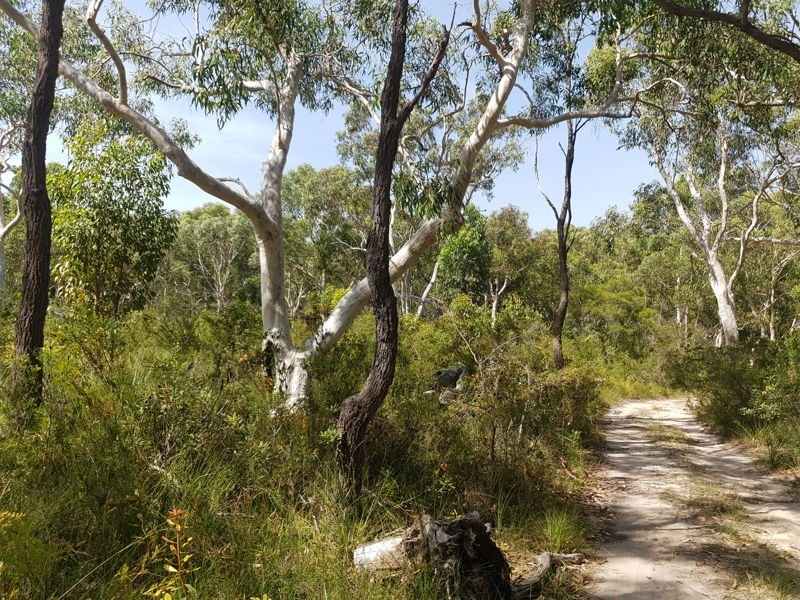 30 Karakunba Road, Wyee NSW 2259