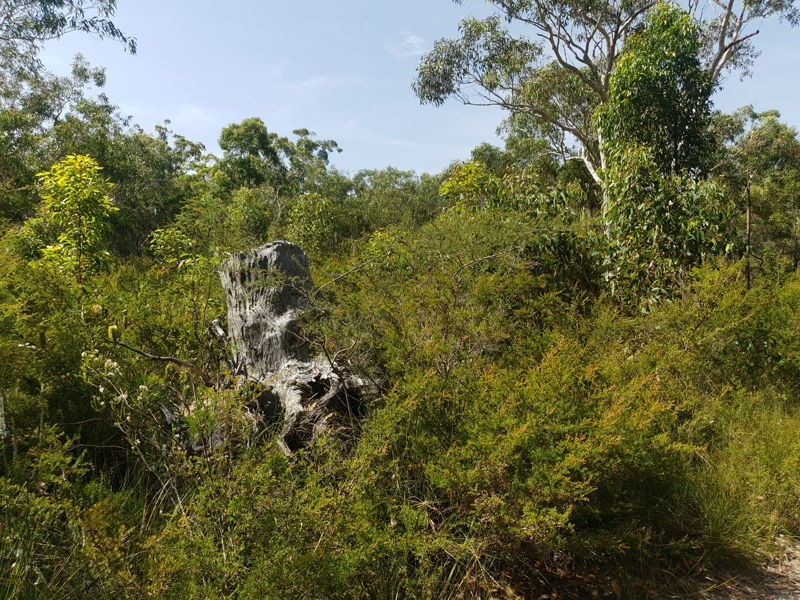 30 Karakunba Road, Wyee NSW 2259