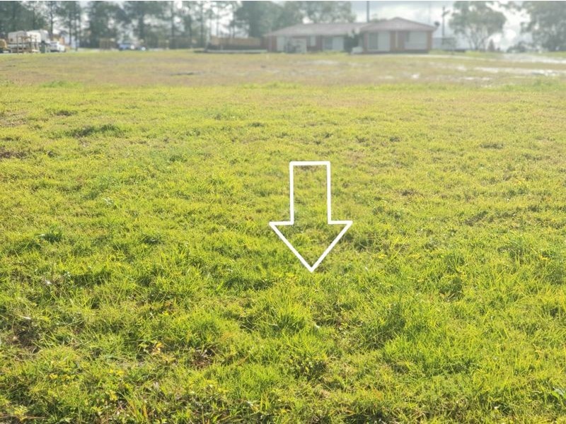 Lot 133 Pateman Place, Wyee NSW 2259