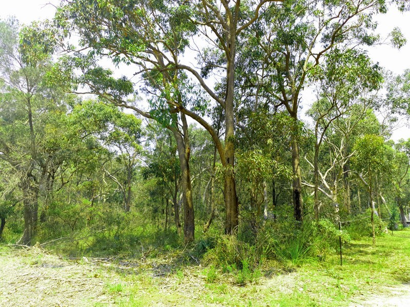 17 Karakunba Rd, Wyee, Wyee NSW 2259