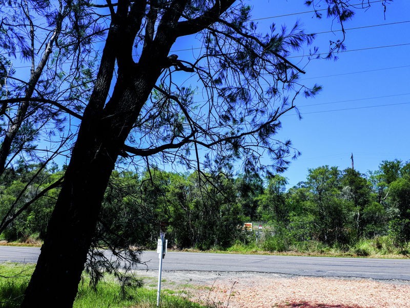 82 Gorokan Road, Wyee NSW 2259