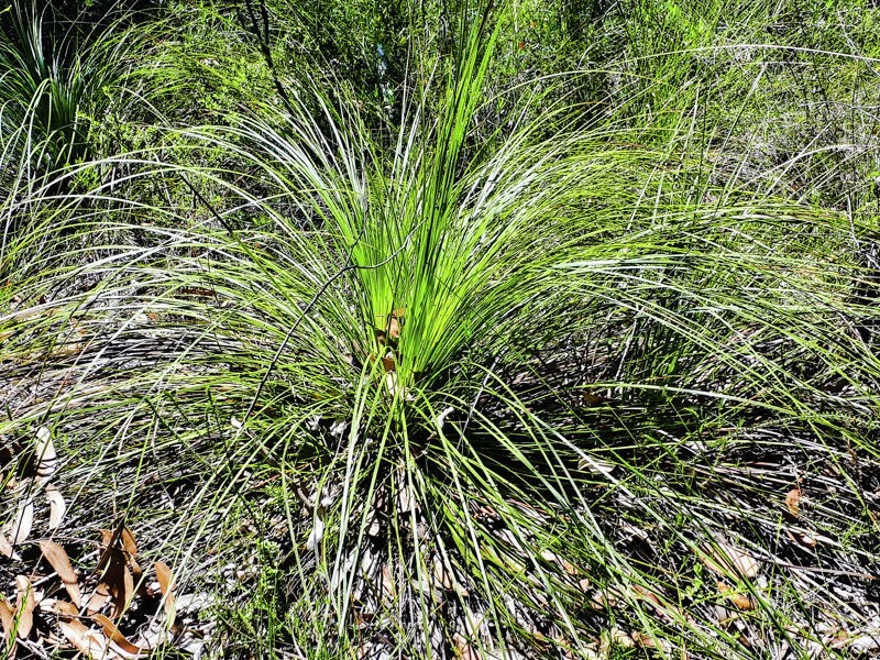 82 Gorokan Road, Wyee NSW 2259