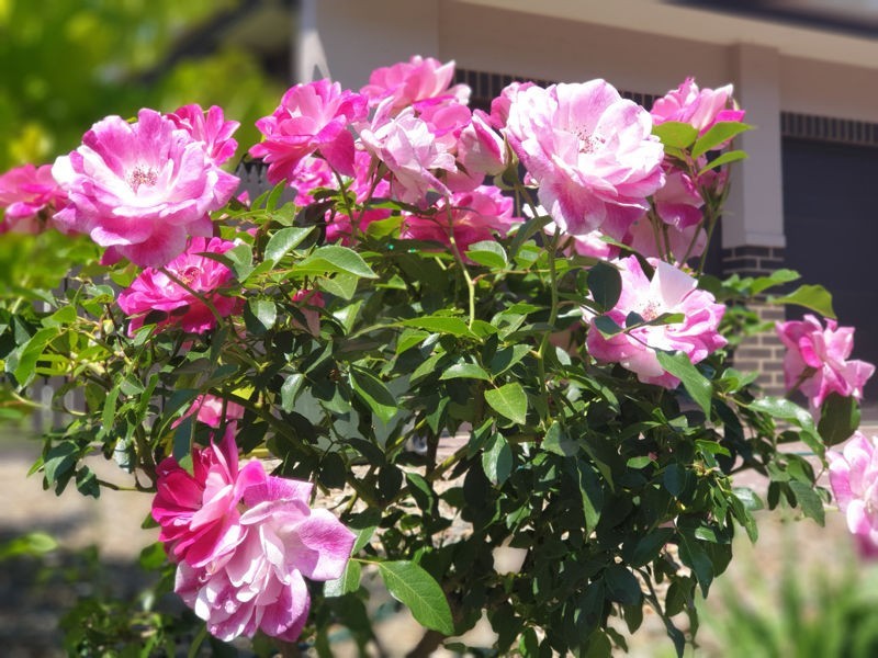 109 Station Street, Bonnells Bay NSW 2264