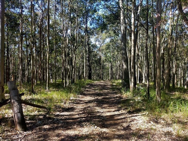 369 Crooks Road, Mandalong NSW 2264