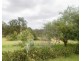 31 Ruttleys Road, Wyee NSW 2259