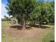 39 Jilliby Street, Wyee NSW 2259