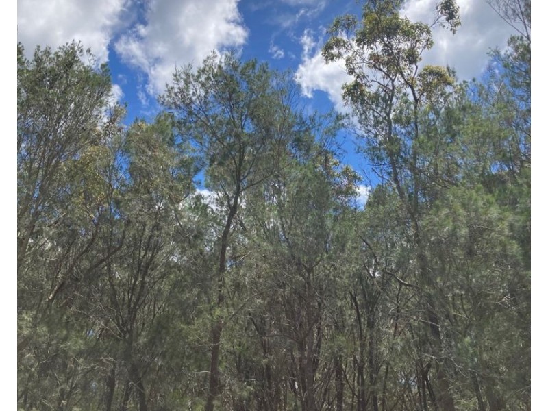 8 Pirama Road,, Wyee NSW 2259