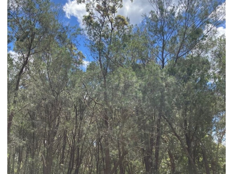 8 Pirama Road,, Wyee NSW 2259