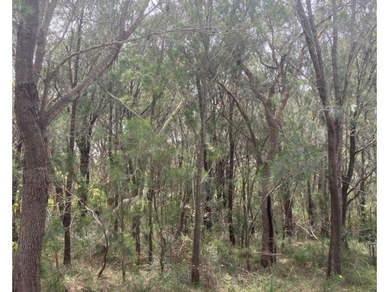 8 Pirama Road,, Wyee NSW 2259