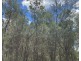 10 Pirama Road,, Wyee NSW 2259