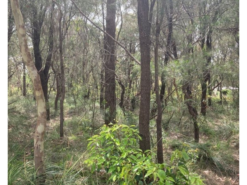 10 Pirama Road,, Wyee NSW 2259