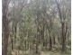 10 Pirama Road,, Wyee NSW 2259