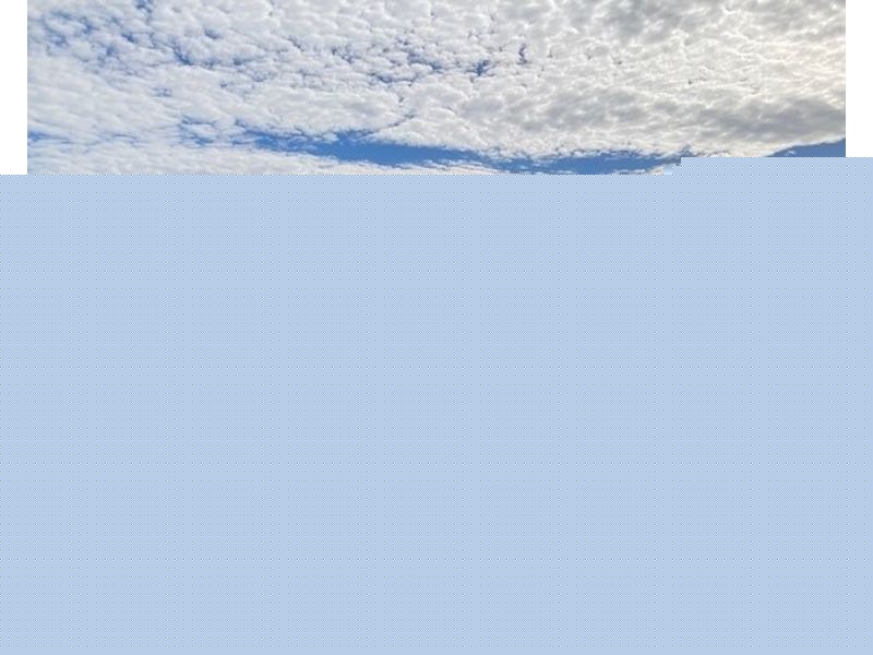 1 Natasha Place, Morisset NSW 2264