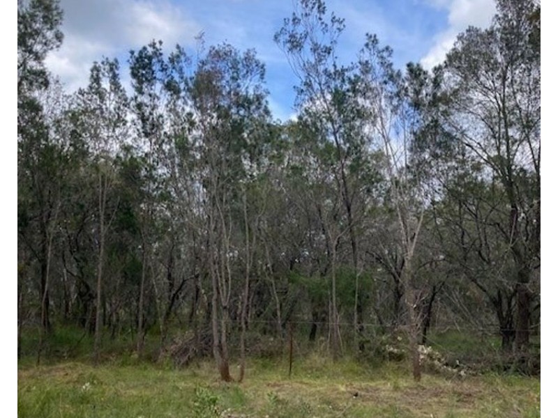 31 Waropara Rd, Wyee NSW 2259