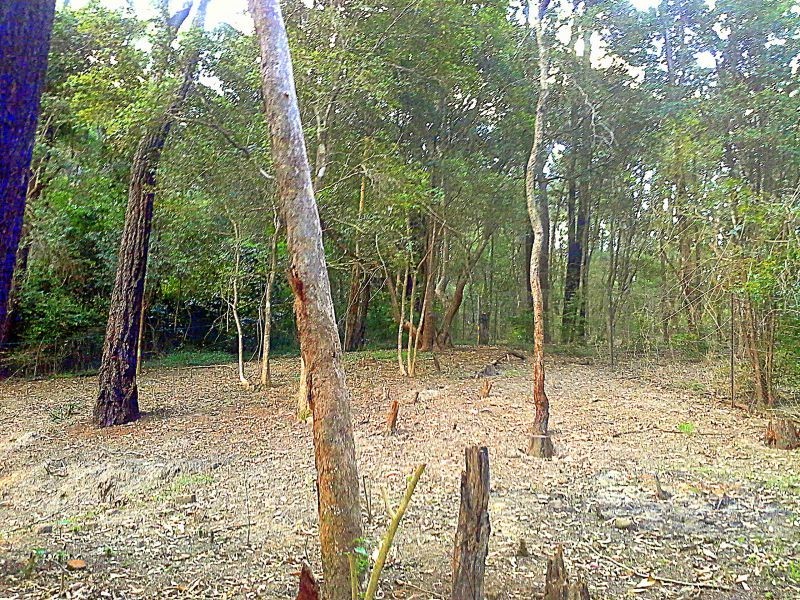 18 Lavender Crescent, Spencer NSW 2775