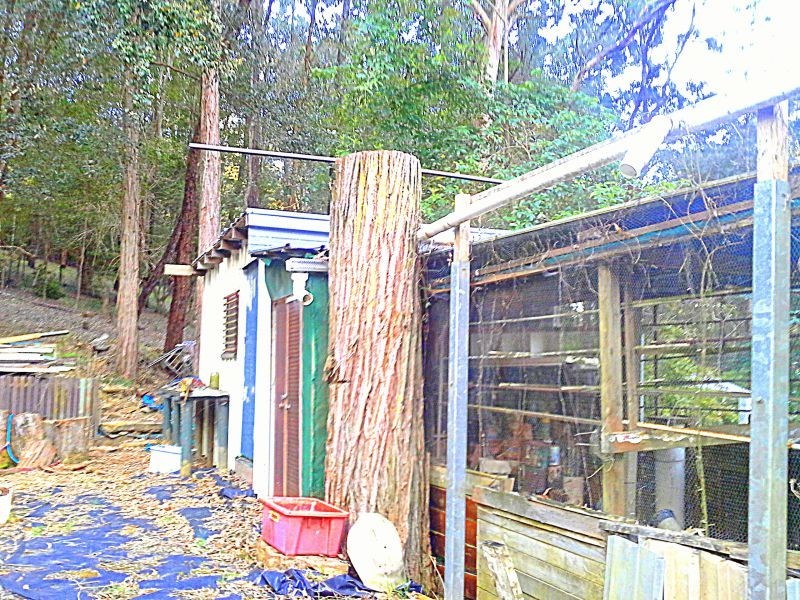 18 Lavender Crescent, Spencer NSW 2775